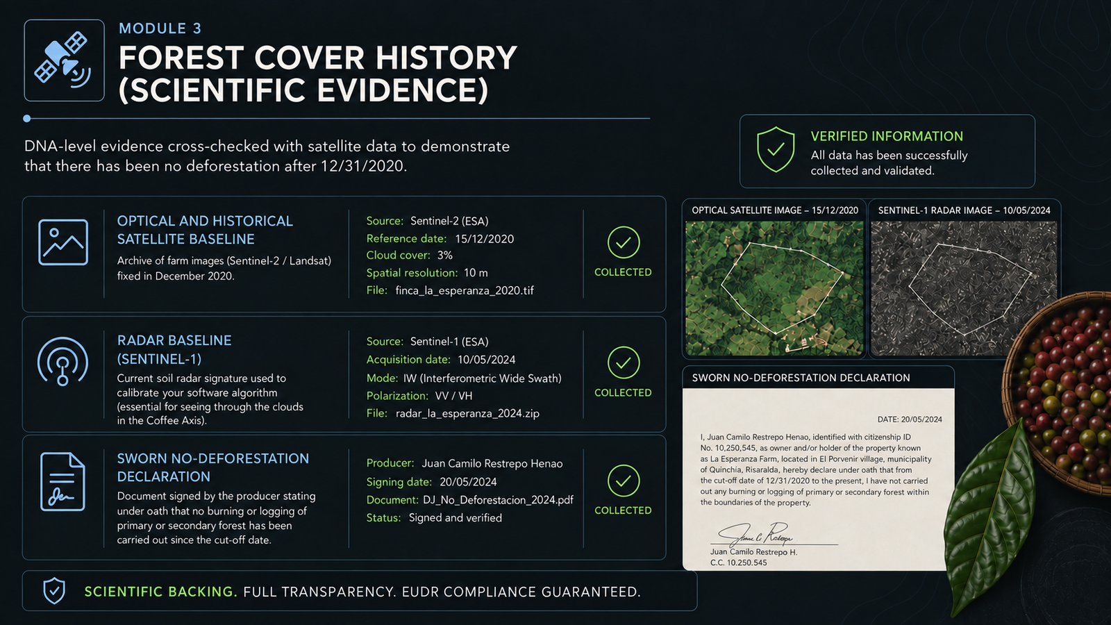 Forest cover history and satellite evidence report