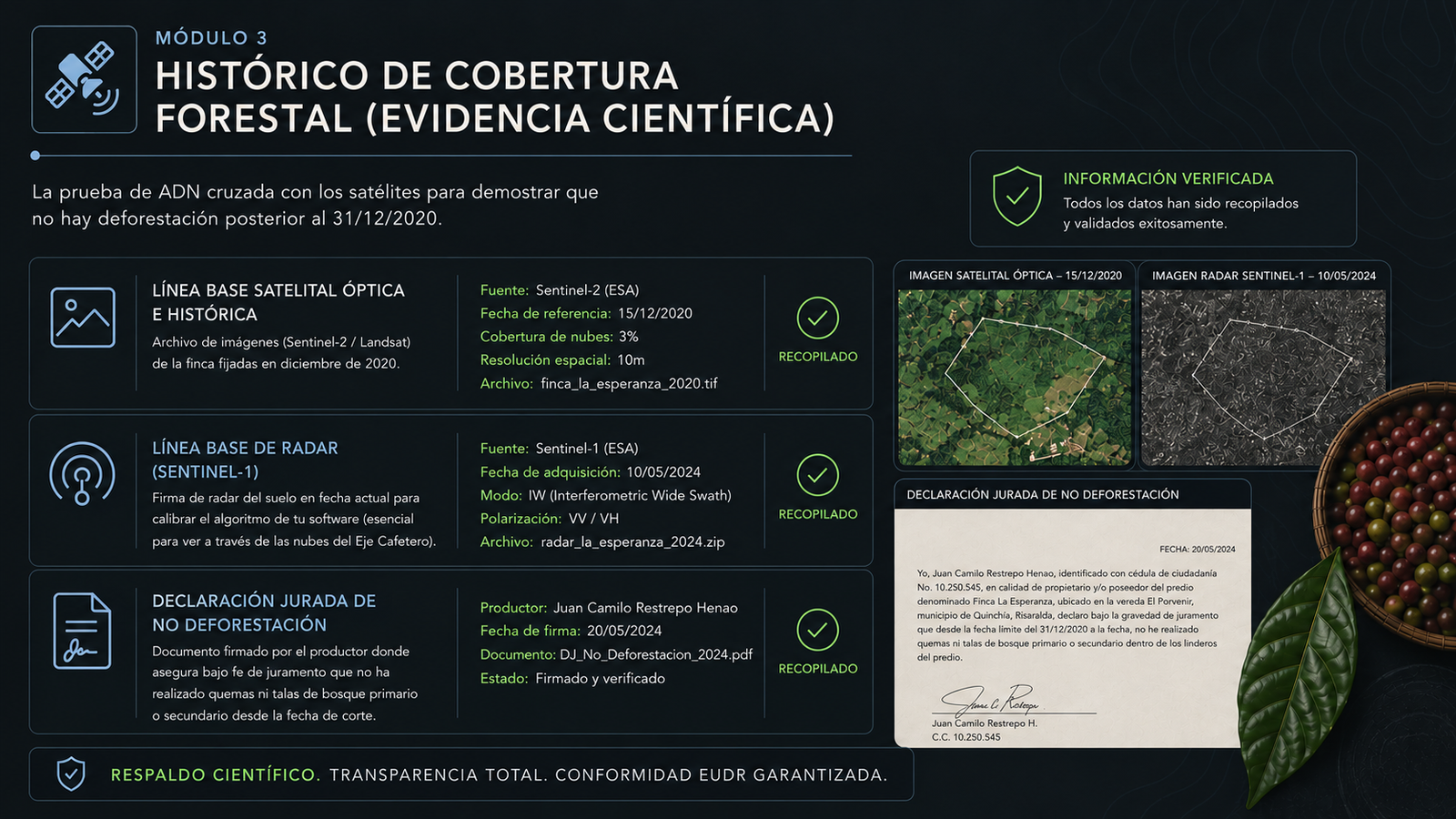 Reporte de histórico de cobertura forestal y evidencia satelital